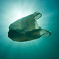 Plastiktüte im Meer ©Sue Daly / WWF 