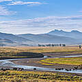 Savannenlandschaft in Nordamerika © Thomas Szainer / WWF US