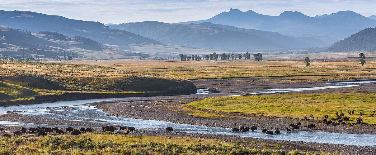 Savannenlandschaft in Nordamerika © Thomas Szainer / WWF US