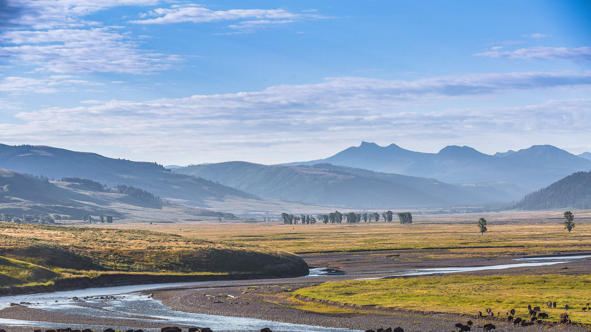 Savannenlandschaft in Nordamerika © Thomas Szainer / WWF US