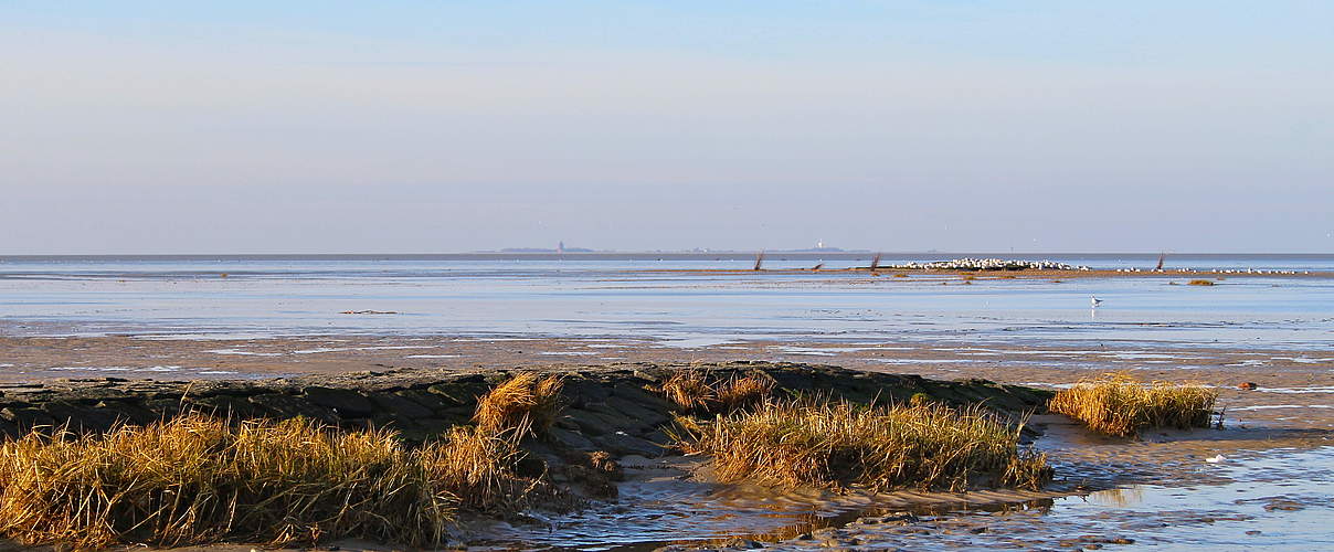 Wattenmeer bei Cuxhaven © Lisa Blanken / WWF