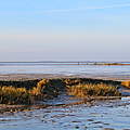 Wattenmeer bei Cuxhaven © Lisa Blanken / WWF