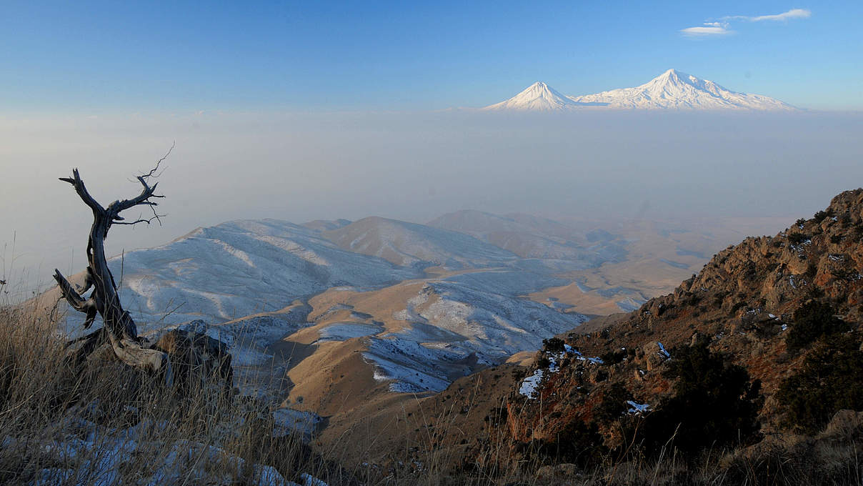 Über den Wolken im Kaukasus © Aurel Heidelberg / WWF Deutschland