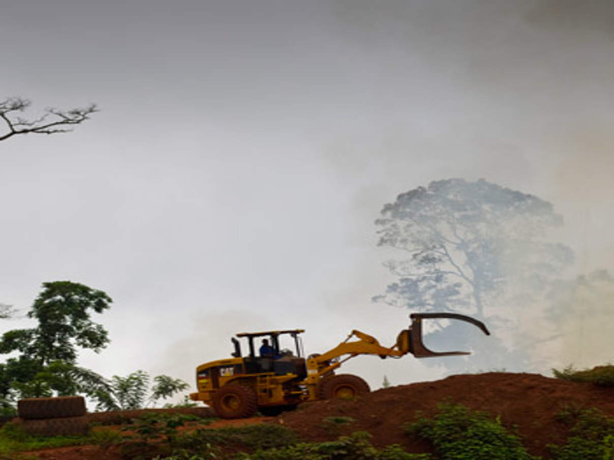 © Brent Stirton / Getty Images / WWF