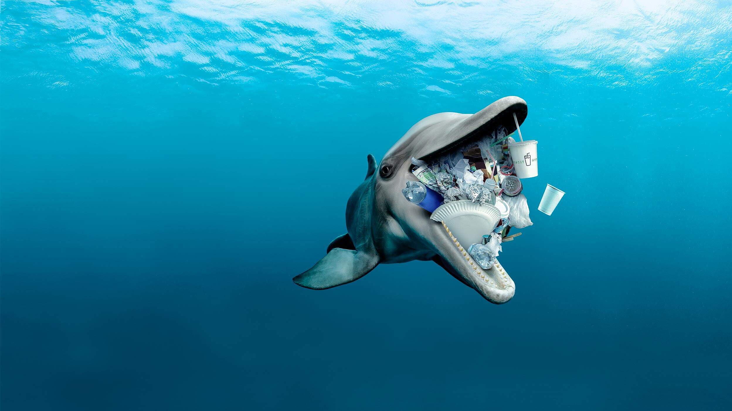 Delfin mit Plastik im Maul - Stopp die Plastikflut