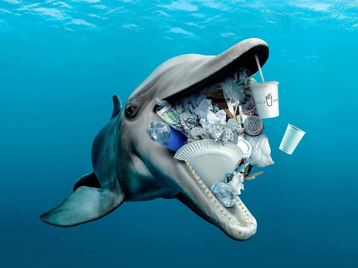 Delfin mit Plastik im Maul - Stopp die Plastikflut