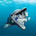 Delfin mit Plastik im Maul - Stopp die Plastikflut