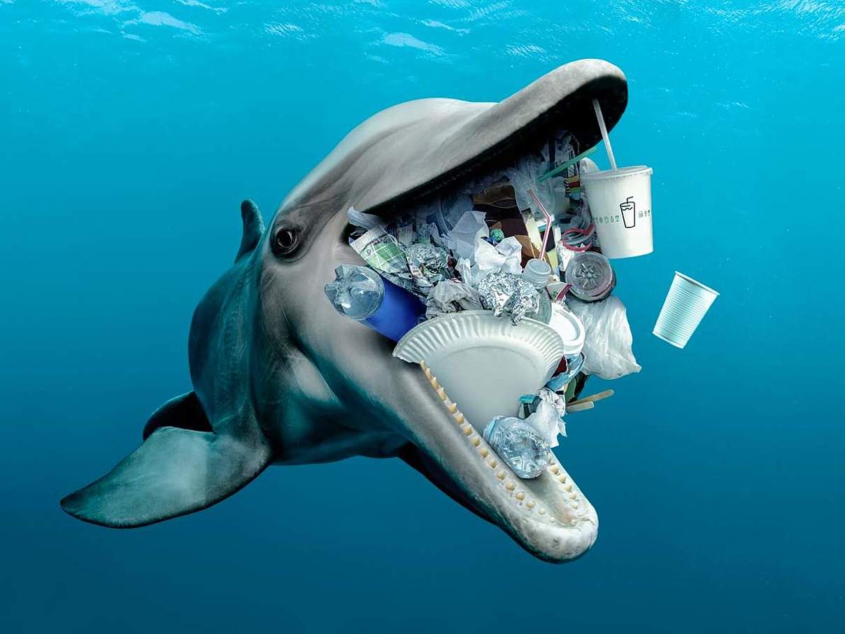 Delfin mit Plastik im Maul - Stopp die Plastikflut