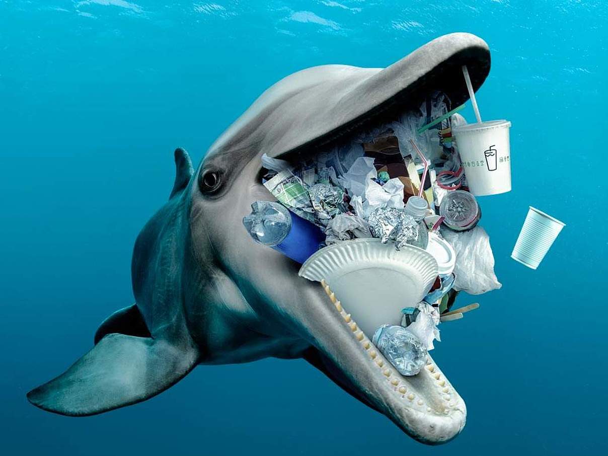 Delfin mit Plastik im Maul - Stopp die Plastikflut