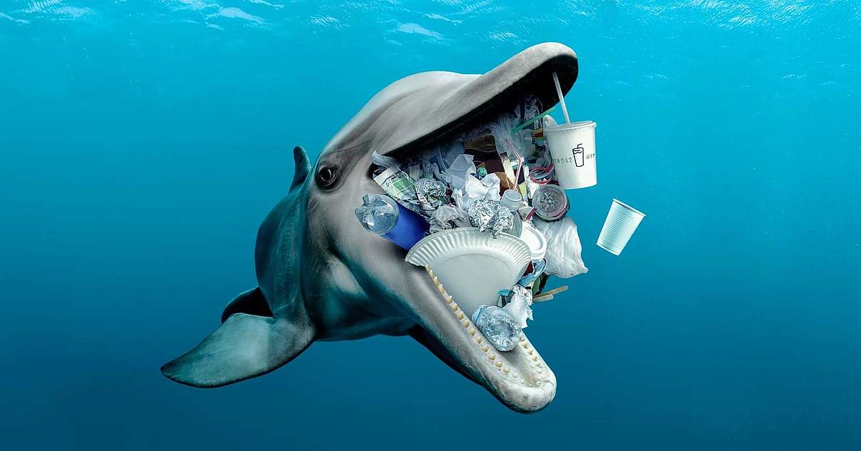 Plastikmüll im Meer: Eine Katastrophe