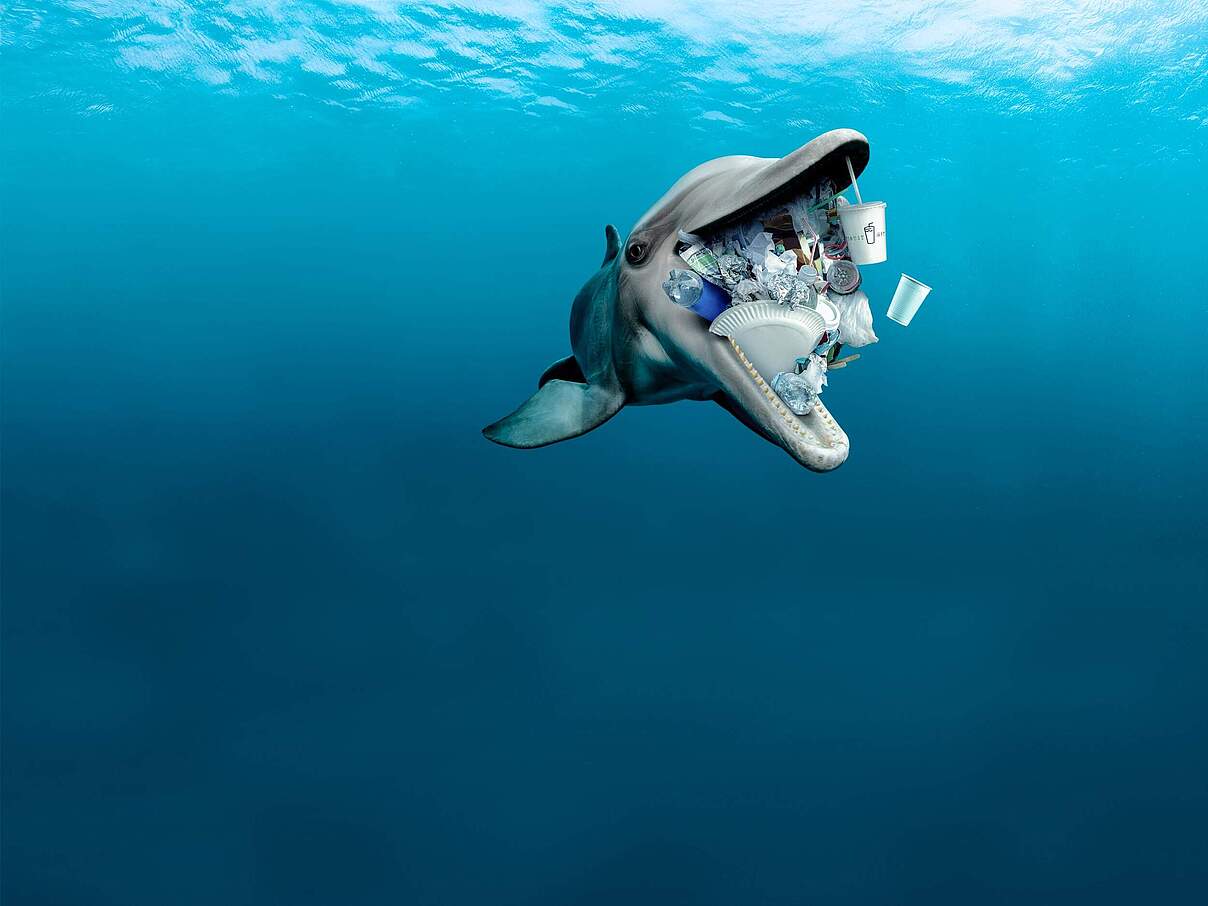 Delfin mit Plastik im Maul - Stopp die Plastikflut