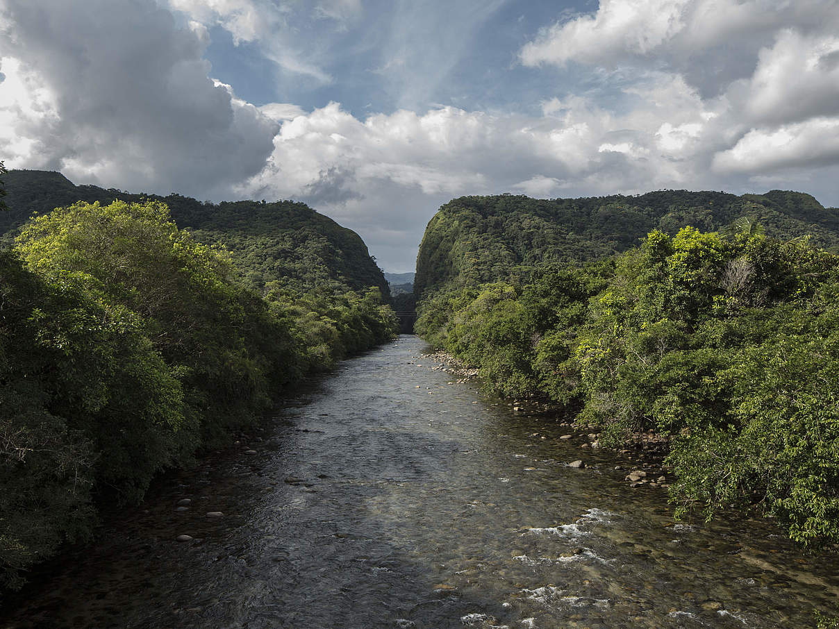 Naturschutzgebiet in Kolumbien © Javier La Rotta / WWF-Colombia