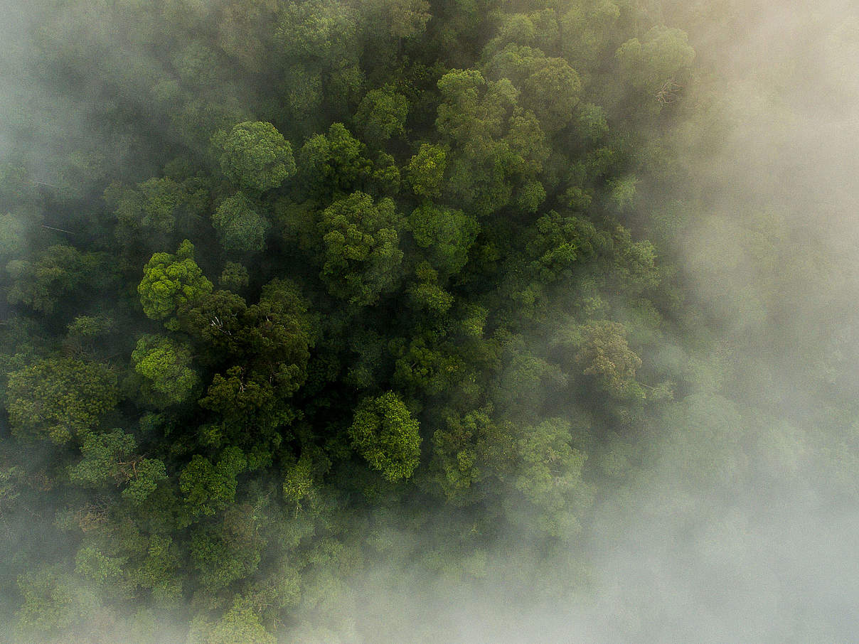 Intakte Ökosysteme schützen Menschen © Neil Ever Osborne / WWF US