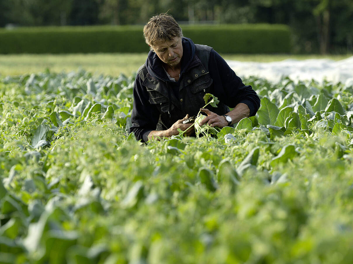 Bio kann Höfe retten