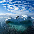 Eisbär im Wasser © Shutterstock / Ritesh Chaudhary / WWF
