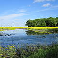 Überfluteter Acker an der mittleren Elbe © Bernd Eichhorn / WWF