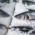 Fisch auf Eis © krblokhin / iStock GettyImages