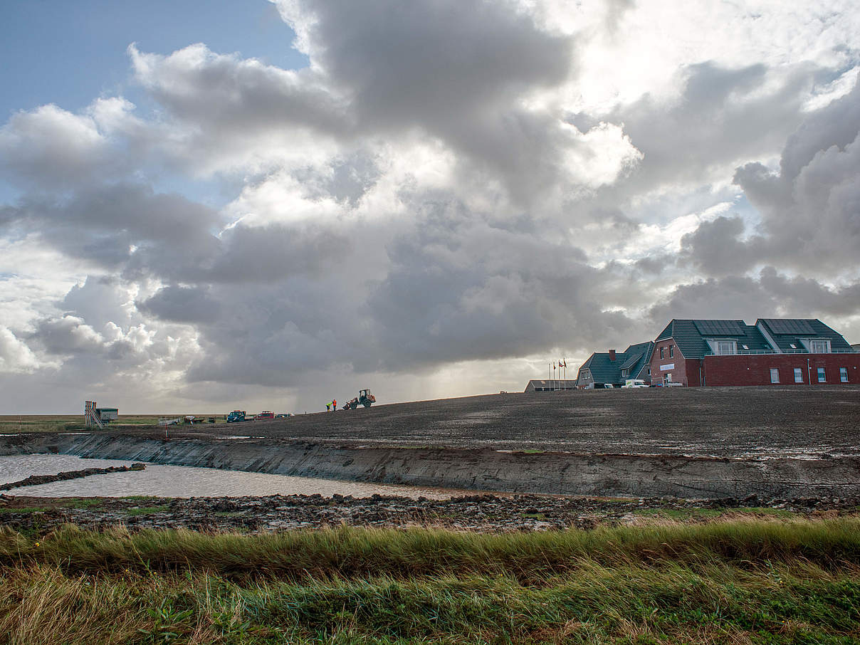 Priel-Kante © Claudi Nir / WWF Priel-Kante © Claudi Nir / WWF