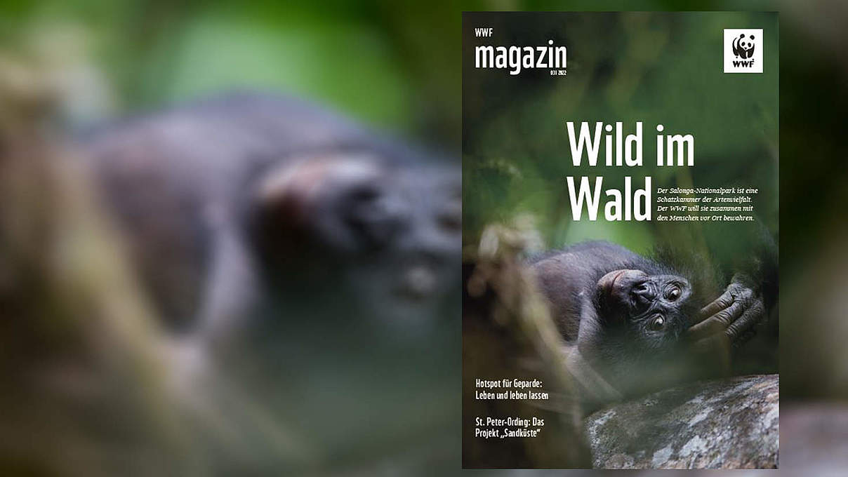 Titel des WWF Magazin 03/2022 © C. Ruoso/mauritius images/nature picture library
