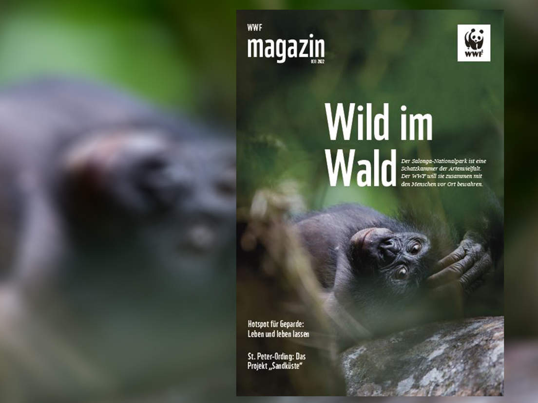 Titel des WWF Magazin 03/2022 © C. Ruoso/mauritius images/nature picture library