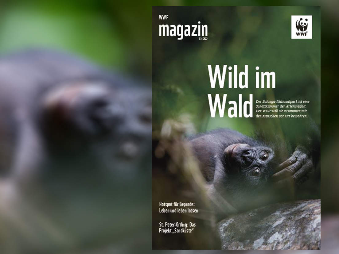 Titel des WWF Magazin 03/2022 © C. Ruoso/mauritius images/nature picture library