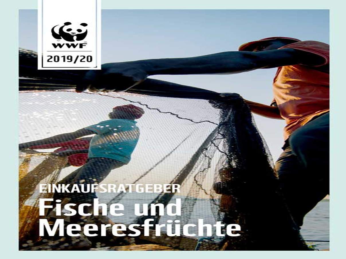 WWF-Fischratgeber