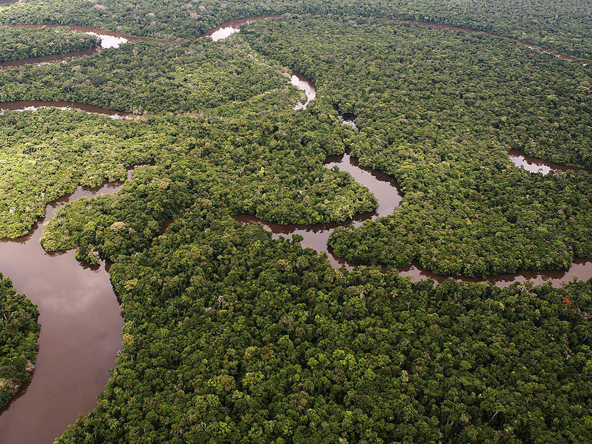 Weltwald: Nordamazonas im Dreiländereck © Michel Gunther / WWF