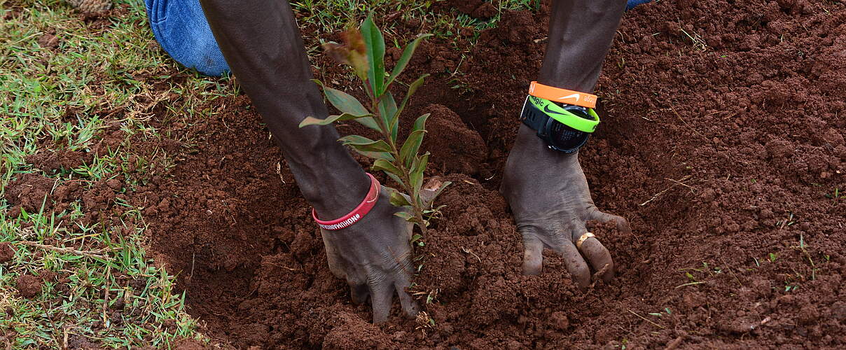 Eluid Kipchoge setzt sich für den Kaptagat Wald ein © WWF Kenia