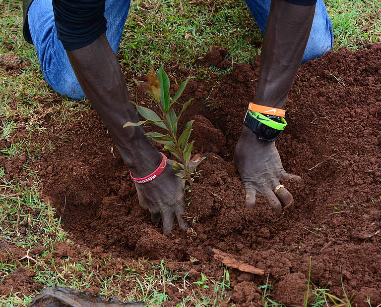 Eluid Kipchoge setzt sich für den Kaptagat Wald ein © WWF Kenia