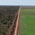 Regenwald Rodung für Landwirtschaft in Brasilien © Adriano Gambarini/ WWF Brazil