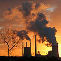 Die Kohlekommission muss endlich auch beim Thema Kraftwerksstilllegungen vorankommen © Cordula Bauske/WWF