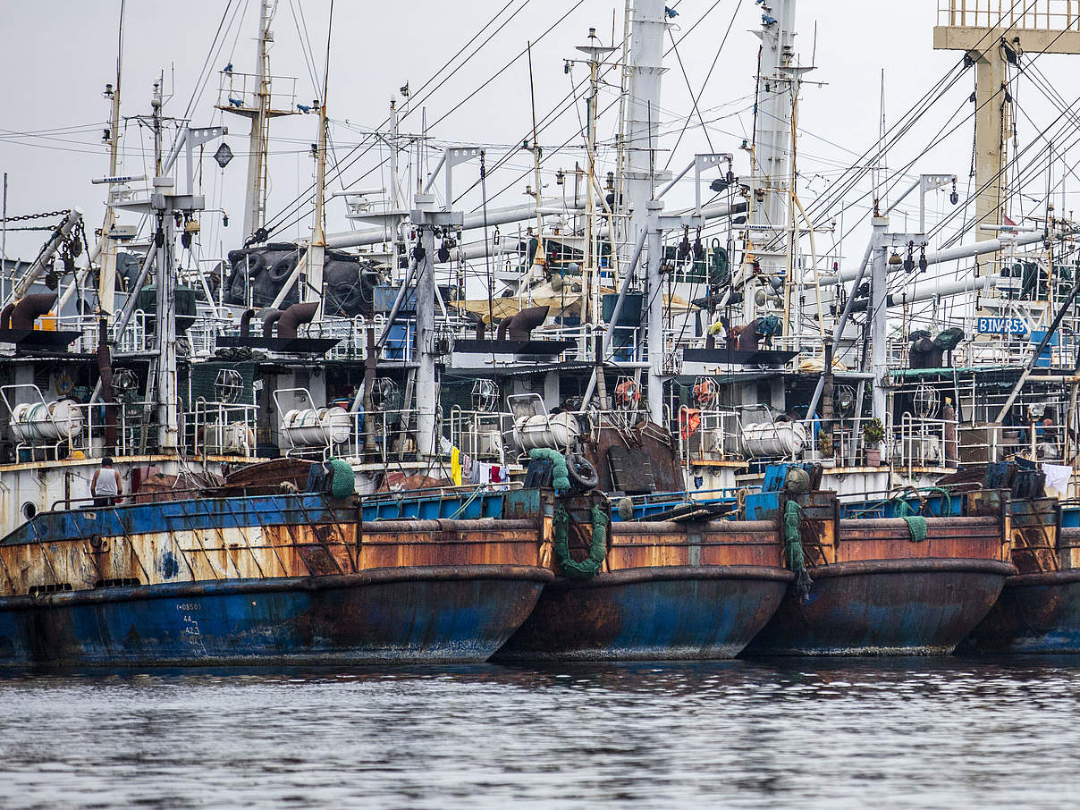 Fischerboote © James Morgan / WWF US