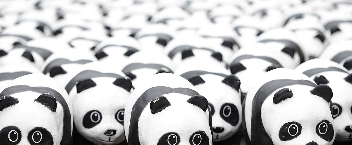 Der Panda ist unterwegs © WWF