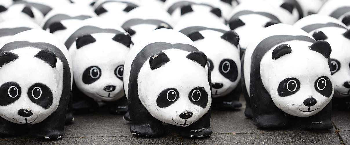 Der Panda ist unterwegs © WWF