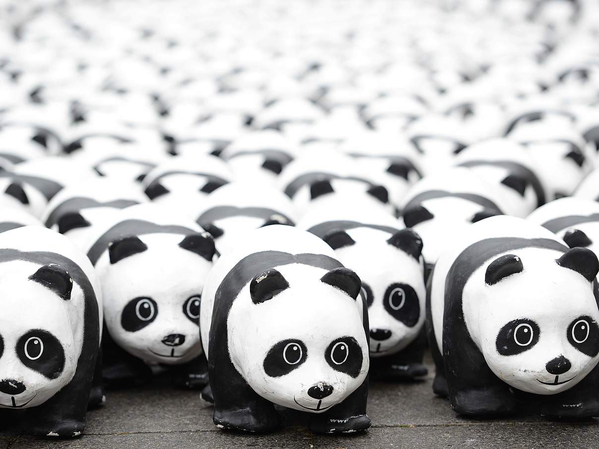 Der Panda ist unterwegs © WWF