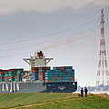 Containerschiff in der Elbe © WWF