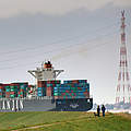 Containerschiff auf der Elbe ©WWF