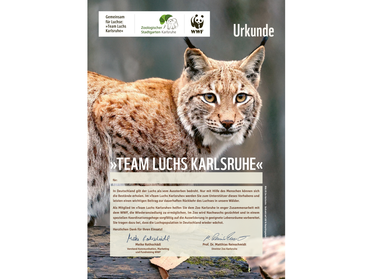 „Team Luchs Karlsruhe“: Urkunde 