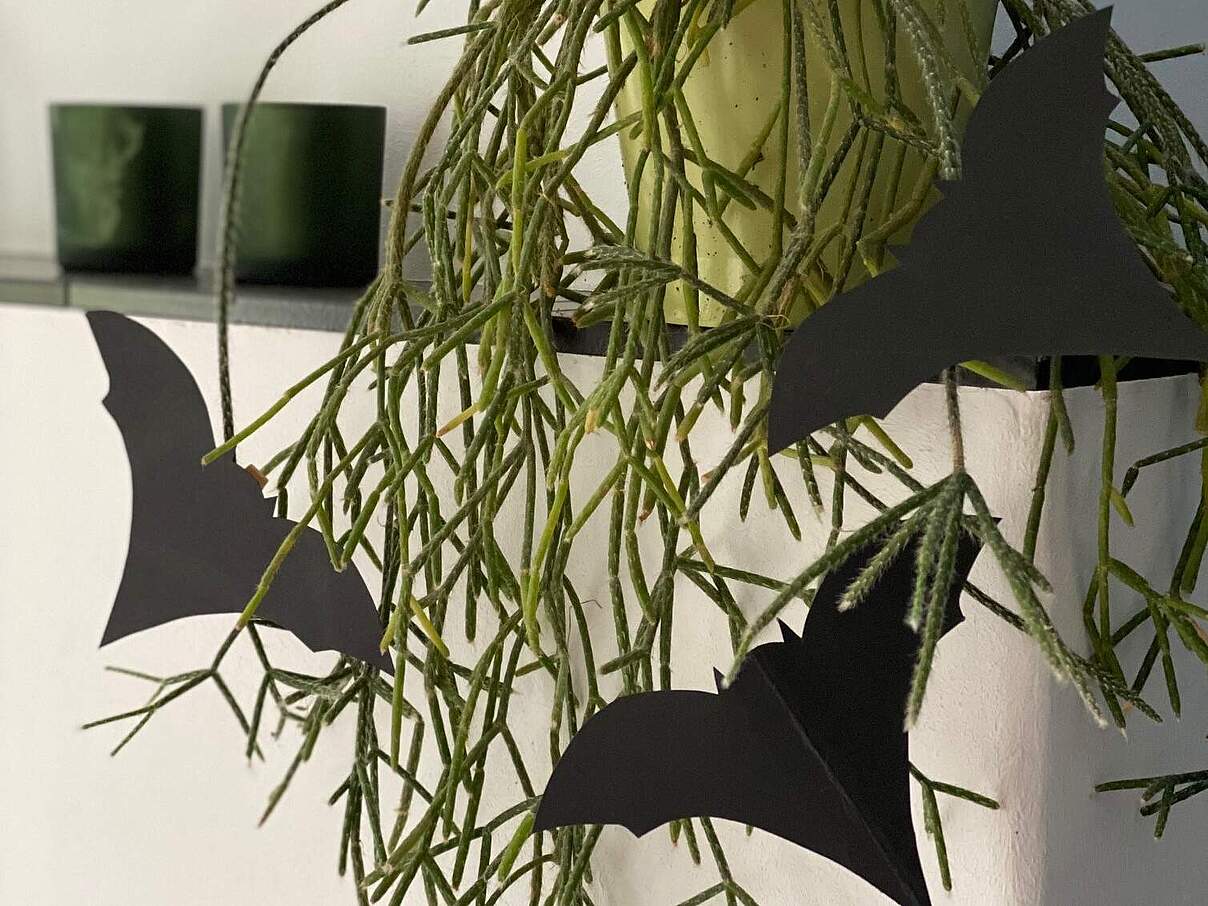 Fledermäuse basteln