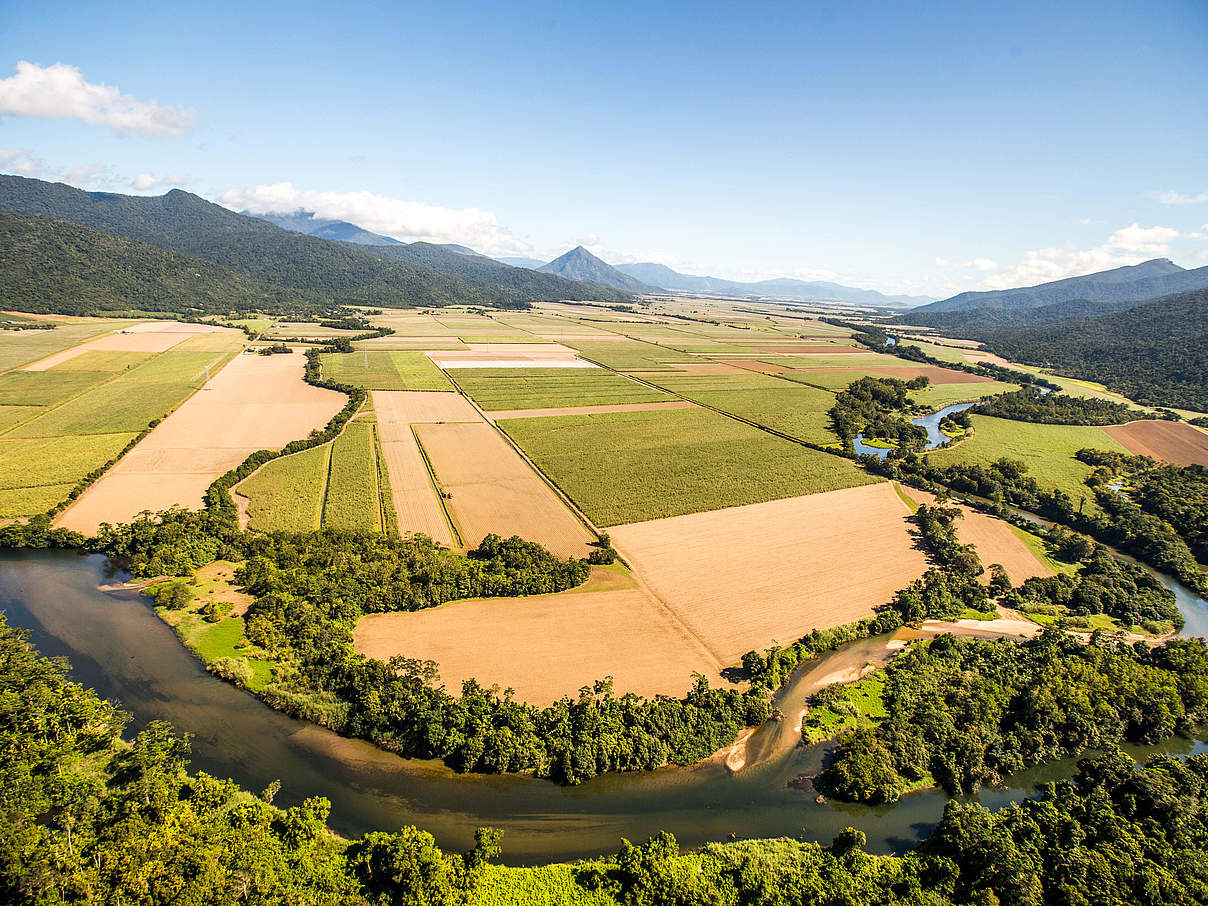 Landwirtschaftliche Nutzfläche bedrängt Auengebiete © James Morgan / WWF