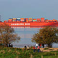 Containerschiff auf der Unterelbe © WWF