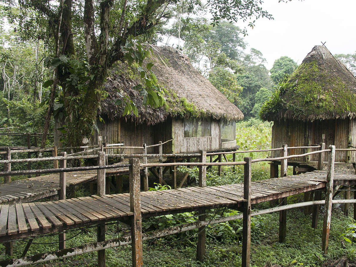 Häuser der Achuar in der Gemeinde Charapacocha, Ecuador © Harko Koster / WWF Niederlande