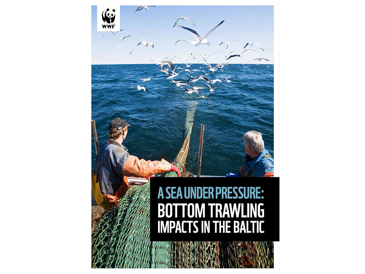 Cover des WWF Baltic Bottom Trawling Reports © WWF