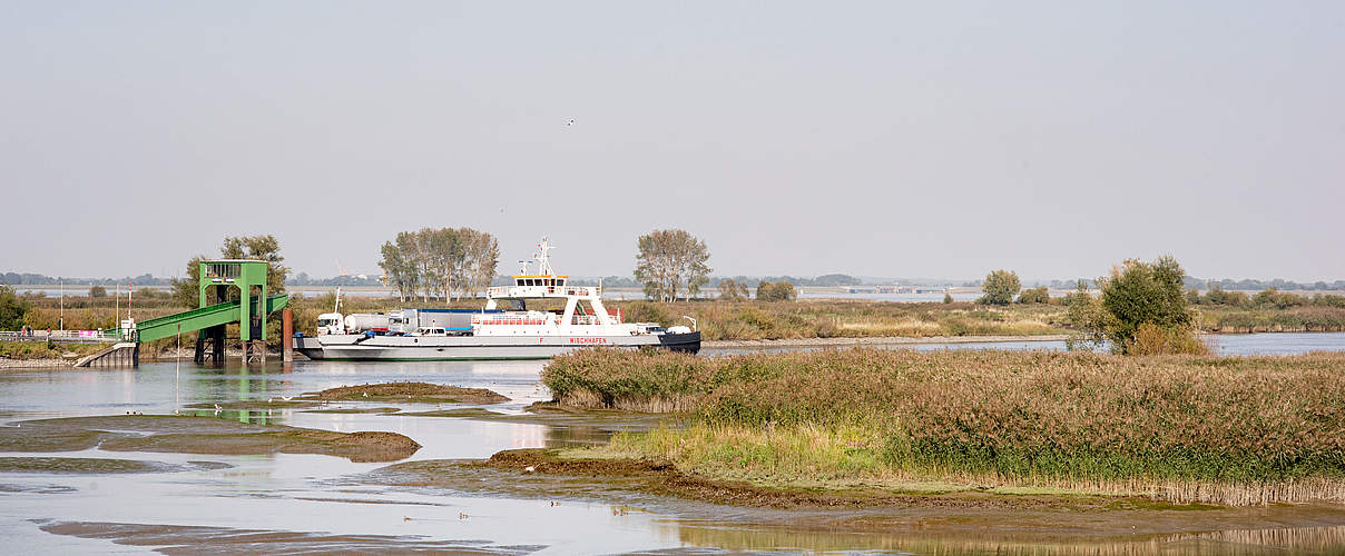 Fähre Wischhafen © Claudi Nir / WWF Deutschland