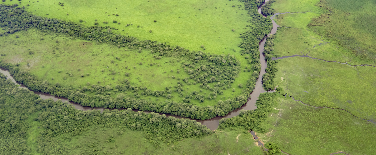 Graslandschaft © Jaime Rojo / WWF-US