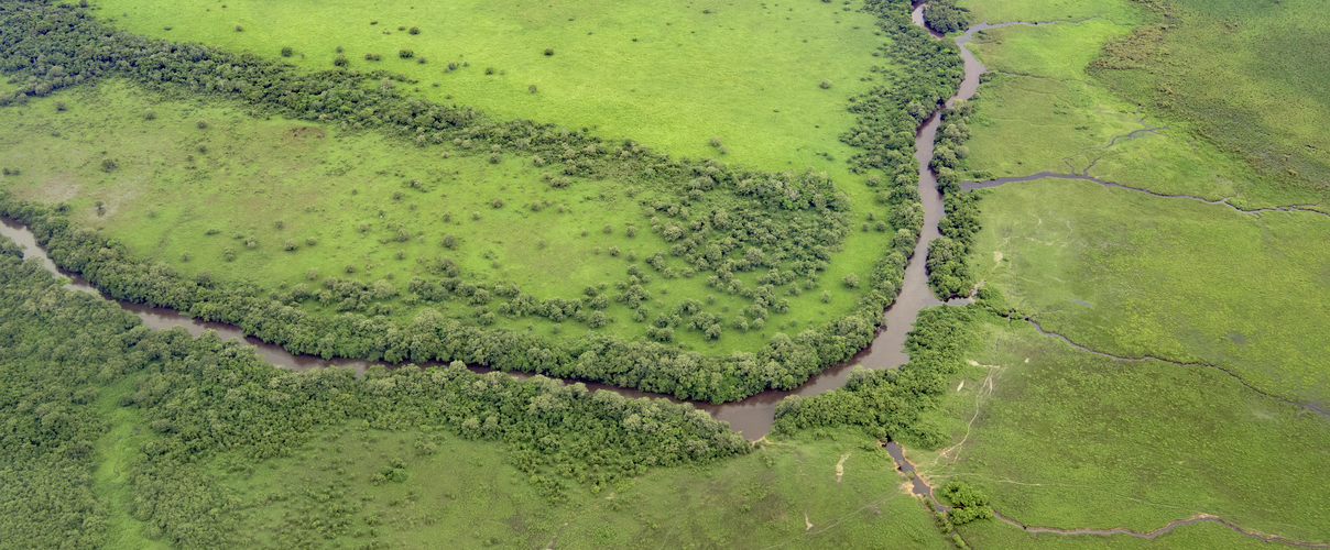 Graslandschaft © Jaime Rojo / WWF-US