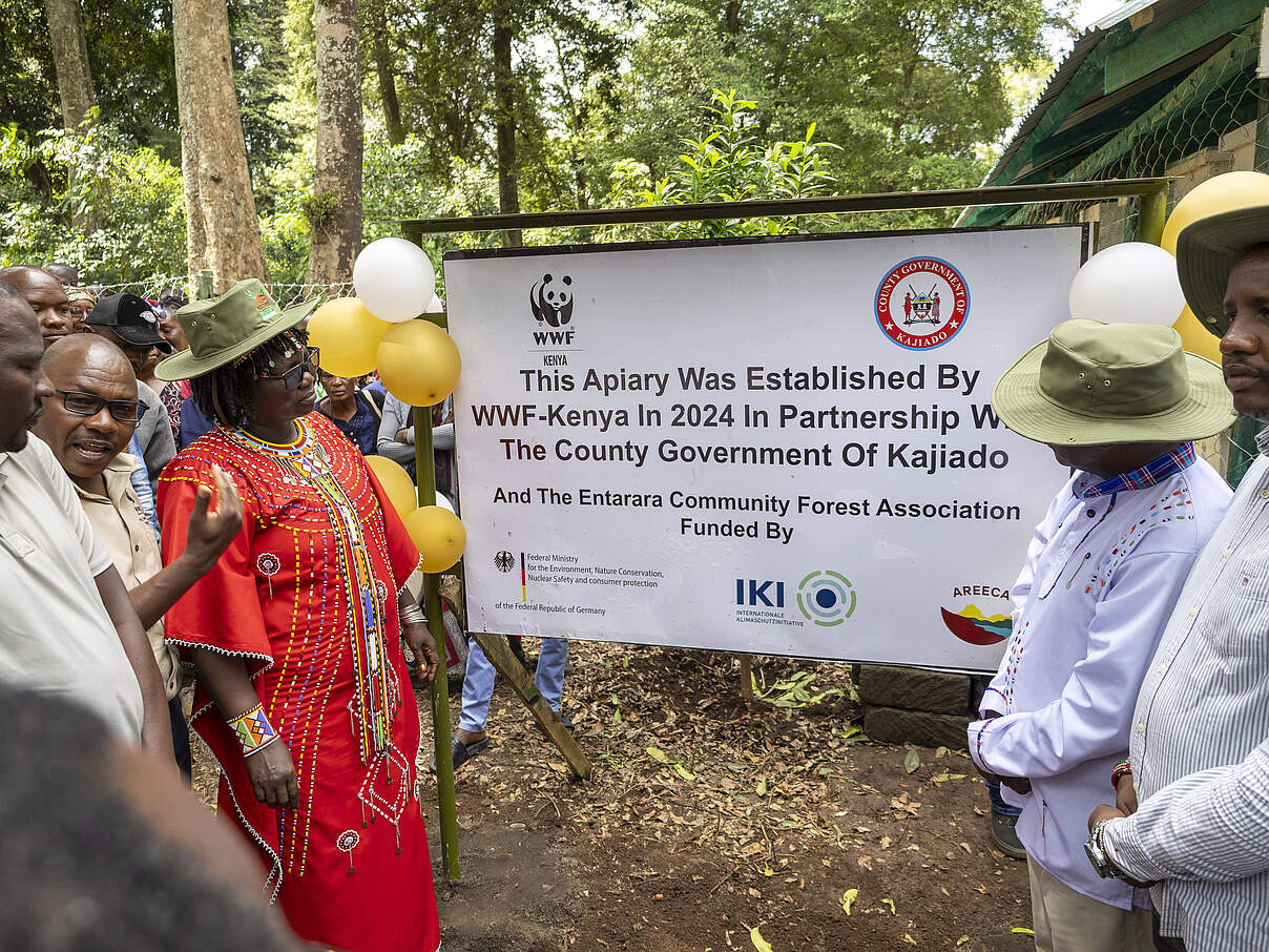 Eröffnung des Bienenhauses im Entarara-Wald mit Ministern aus der Umgebung © WWF Kenia