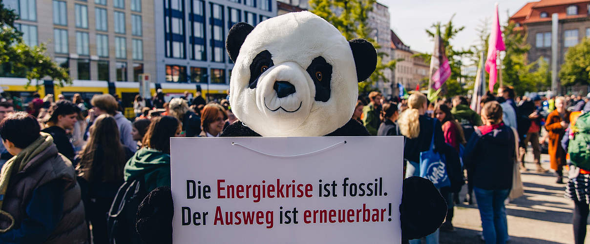 Klimastreik 2022: Panda mit Schild © Markus Winkler / WWF