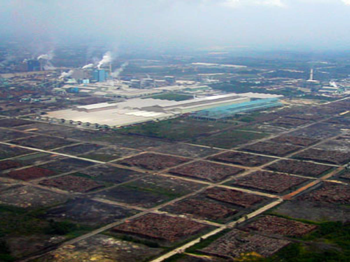 350 APP Riau Holzverarbeitung c WWF Indonesia © WWF Indonesia