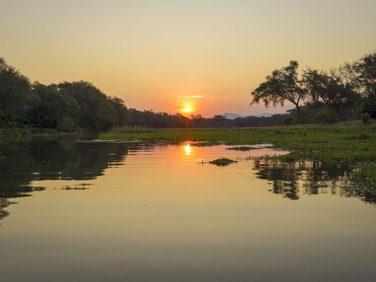 Sonnenuntergang am Sambesi im Nationalpark "Unterer Sambesi" © IMAGO / Imagebroker